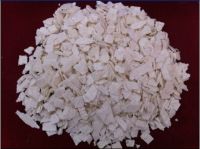 Nitrocellulose Chips