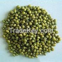 Green Mung Beans