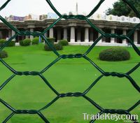 Hexagonal wire mesh