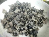 Good Delicious Black Fungus
