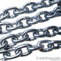 steel chain DIN From China