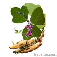 Puerarin(Kudzu) root extract Isoflavones 40% UV/HPLC