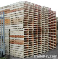 Wooden Pallet