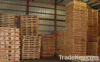 Euro Wood Pallet