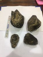 Ambergris