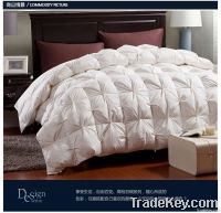 Down Quilt/Pillow/Mattress