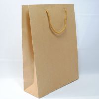 OEM luxurious shopping paper bag