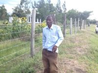 SUNFLOWER SEEDS &amp; PLANTS