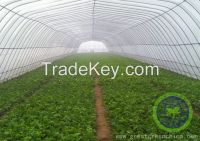 single channel arch greenhouse