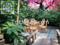 Natural  greenhouse restaurant