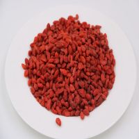 red gogi berries , chinese medlar