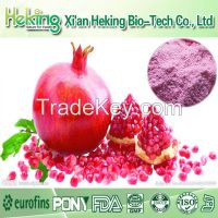 100% Natural Pomegranate Juice Powder