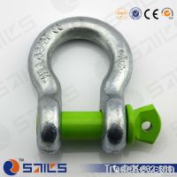 US type Screw Pin Anchor Shackle