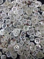 Natural 4 Holes Trocas/Trochus/Takase