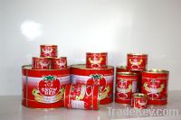 canned tomato paste