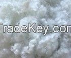 Fibers