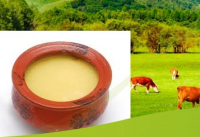 Organic Cow Ghee