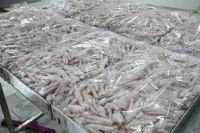 Frozen Chicken feet