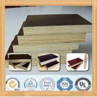 Film faced marine waterproof Plywood