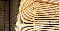Sawn timber from the Siberian pine, spruce and larch