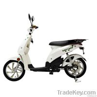 UGBEST Fox Electric Scooter and Bicycle