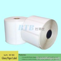 Manufacturer of Glossy Coated Paper Roll Label