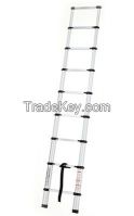 Single ladder