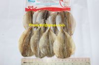 Dried croaker fillet and  headless