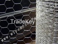 Hexagonal Wire Netting