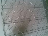 Hexagonal wire mesh/Chicken wire mesh