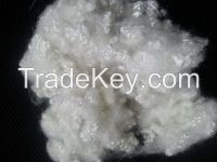 Polyester Staper Fiber 15Dx64MM
