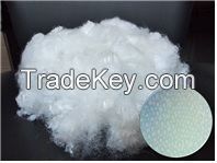 Hollow Fiber