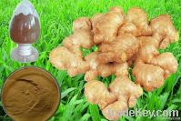 Natural Ginger Extract