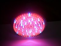 LED grow light