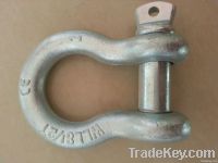 SCREW PIN ANCHOR AND CHAIN SHACKLES