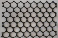 plastic net mesh, geonet