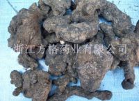 Polyporus umbellatus extract 20%-50%;GMP/HACCP certificate