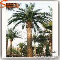 Top Grade Artificial Date Palm Tree, decoration palm tree for sale