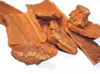 Yohimbe Bark