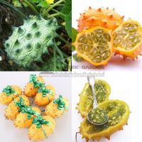 https://cn.tradekey.com/product_view/20pcs-Rare-Delicious-Organic-Kiwano-Melano-Cucumis-Metuliferus-African-Horned-Cucumber-Fruit-Melon-Seeds-7094968.html