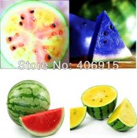 https://cn.tradekey.com/product_view/4-Professional-Packs-50-Seeds-pack-Succulency-Blue-Rainbow-Yellow-Red-Water-Melon-Sweet-Fruit-Seeds-7094534.html