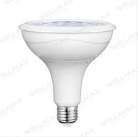 LED PAR LAMP PAR30/PAR38 From China