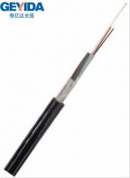 Outdoor Stranded Loose Tube Single/Multi-Mode Non-Metallic GYTY Fiber Optical Cable Manufacturer/Supplier