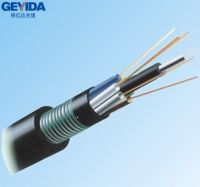 Outdoor Stranded Loose Tube Single/Multi Mode Direct Buried GYTY53 Fiber Optical Cable Manufacturer/Supplier