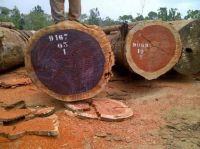 Teak,Tali,Padouk,Bubinga,Doussie and other African Woods Available