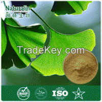 Natural Ginkgo Biloba Powder Extract