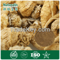 Natural Maca Extract powder