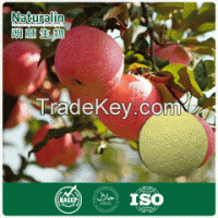 Apple Extract powder