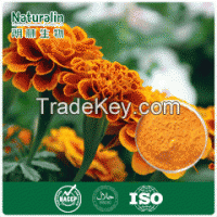 Marigold Extract powder