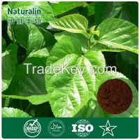 Morus alba extract